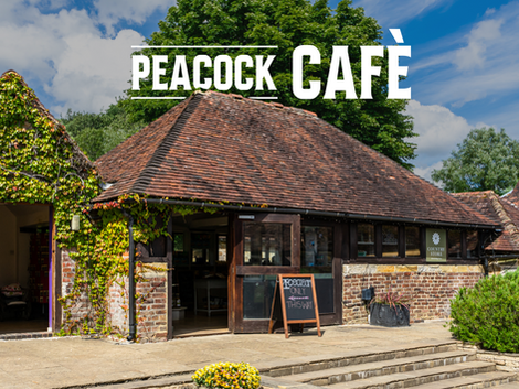 Peacock cafe
